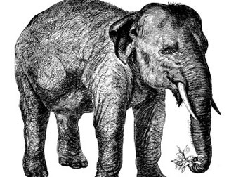 iStock_AI_elephant.jpg