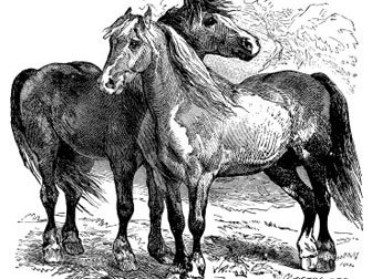 iStock_AI_horses.jpg