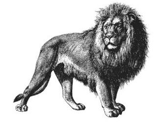 iStock_AI_lion.jpg