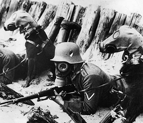 German dogs wearing gas masks German dogs wearing gas masks